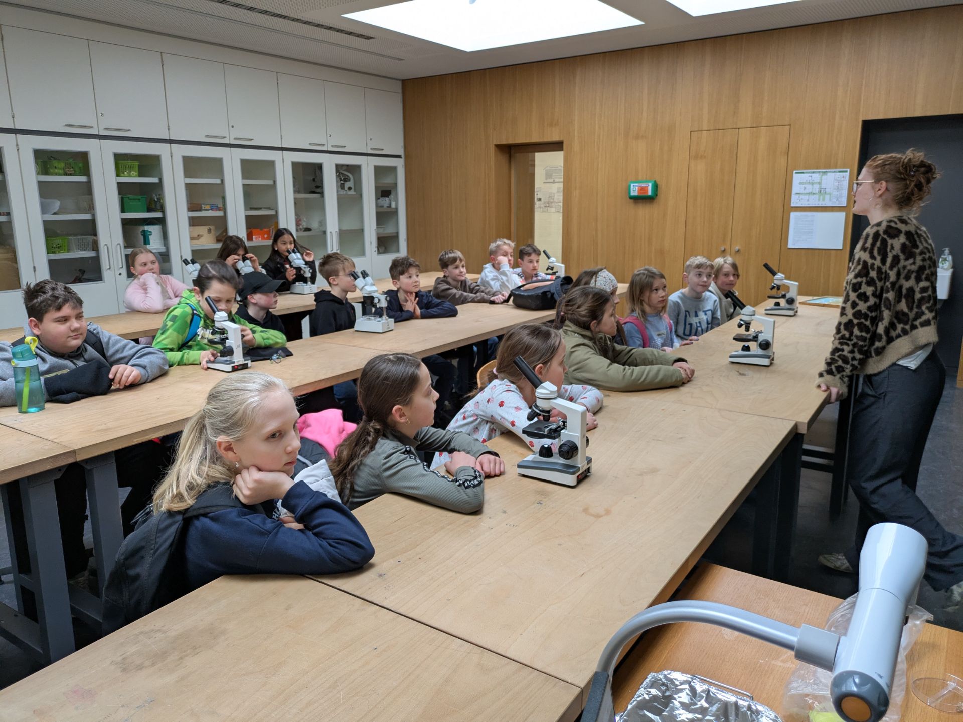 Kleine Einweisung ins Mikroskopieren